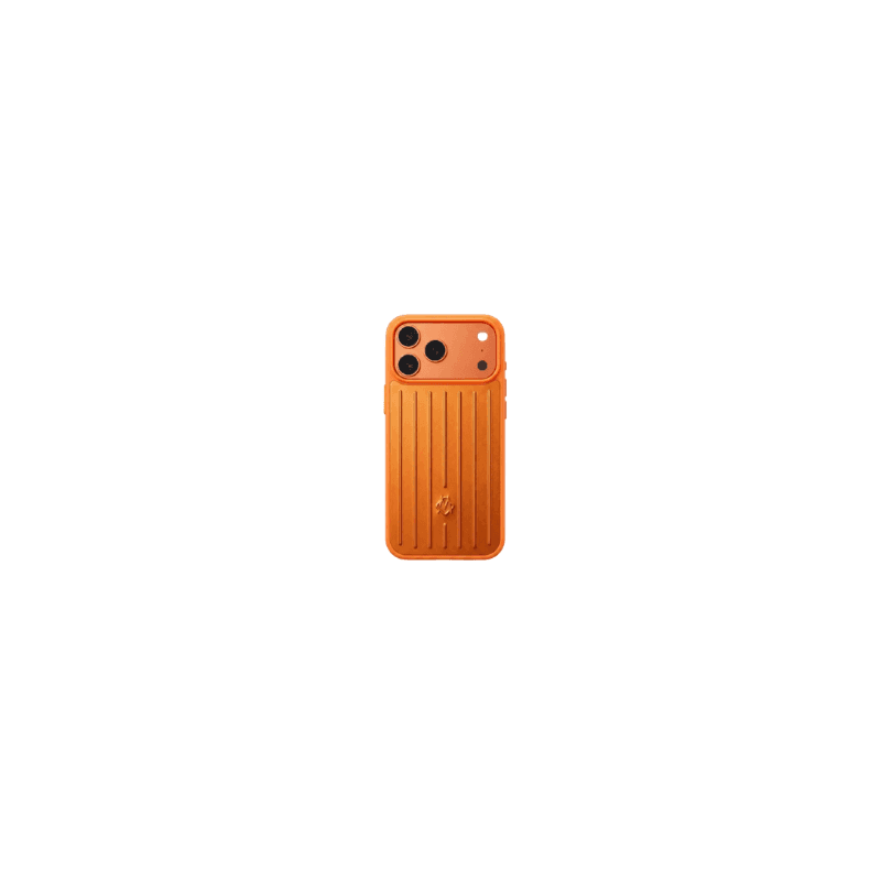 Rimowa Case 